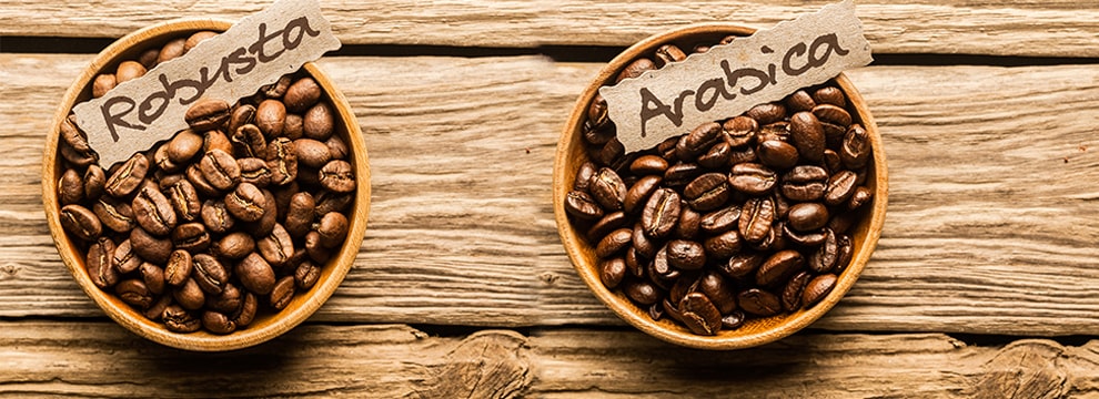 Exportación de Cafe Robusta y Arabica Brasileño